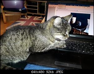 Quasselthread-5685714a-4ab3-479b-8658-21c315633669.jpg