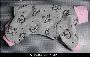 Der Handarbeits-Thread - Alles schick mit Nadel und Strick!-dsc_1275.jpg