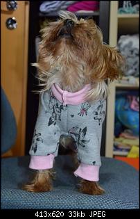 Der Handarbeits-Thread - Alles schick mit Nadel und Strick!-dsc_1285.jpg