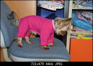 Der Handarbeits-Thread - Alles schick mit Nadel und Strick!-dsc_1301.jpg