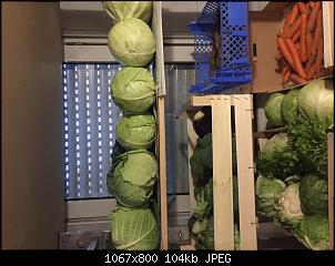 HoHoHo - Das Weihnachtsthema-d136b02a-f904-44b6-8094-fcc4c01389e4.jpg
