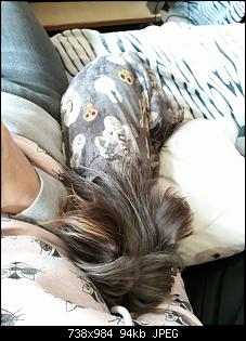 Quasselthread-20190207_085342_resized.jpg