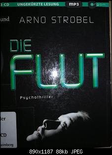 Lesechallenge 2019-flut.jpg