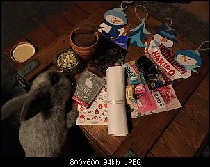 Weihnachtswichteln 2019-img_7981.jpg