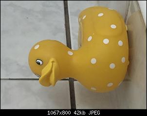 Quasselthread-5b6d9e30-189a-4dd7-b7df-3ca0f26bd21b.jpg