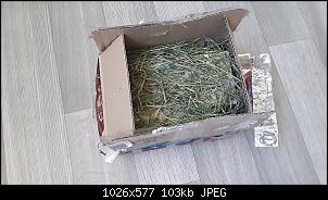 Osterwichteln 2020-20200412_085636.jpg