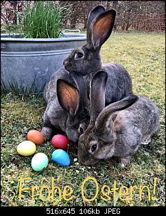 Frohe Ostern!-img_6963.jpg