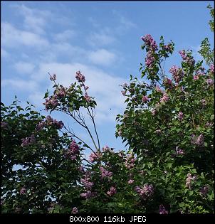 Quasselthread-7632d078-43de-451f-b6fe-ca9c0edda13a.jpg