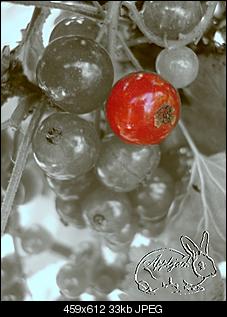 Fotografie-Thread-test.jpg