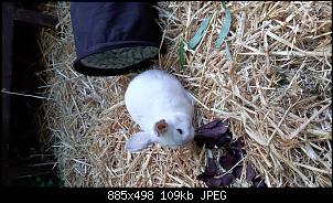Quasselthread-20200525_194954.jpg