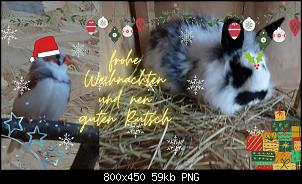 Frohe Weihnachten-lou.jpg