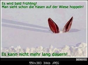 Der Fr�hling ist bald da!-img-20210212-wa0014.jpg