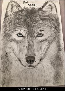 Hobby Malen Zeichnen,wer macht das hier noch?-whatsapp-image-2021-04-20-10.49.40.jpg