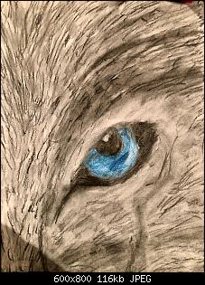 Hobby Malen Zeichnen,wer macht das hier noch?-whatsapp-image-2021-04-20-10.50.11.jpg