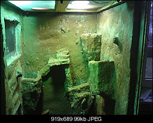 Der bau eines Terrariums....-dsc00699.jpg