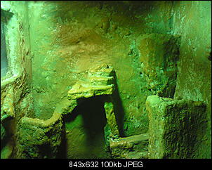 Der bau eines Terrariums....-dsc00702.jpg