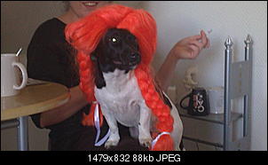 Murphy hat auch Karneval gefeiert-07032011053.jpg