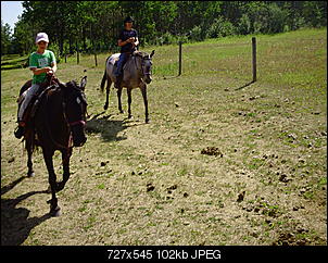 Pferde und Reiter-Thread-pict0037.jpg