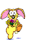 Name:  hasirenn.gif
Hits: 7028
Gr��e:  7,5 KB