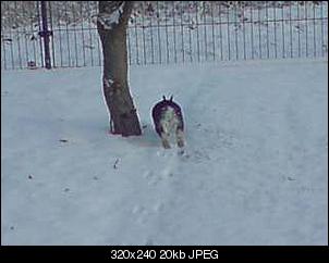 Fr�hling !!!-p020109_14.01%5B01%5D.jpg