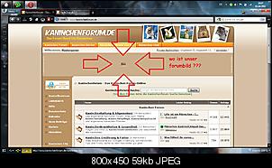 problem mit dem forum ....-kaninchenforum.jpg
