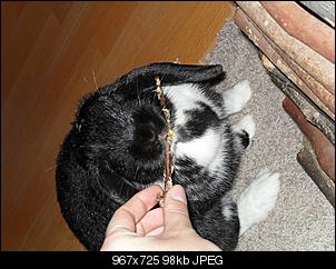 Osterpakete :)-sdc11479.jpg