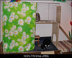 Osterpakete :)-sdc11485.jpg