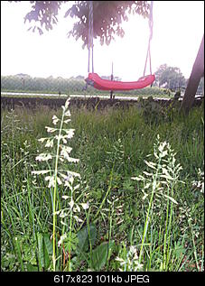 Lieblingsbilder ♡.-dscn1415.jpg