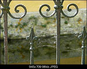 Lieblingsbilder ♡.-p1020854.jpg
