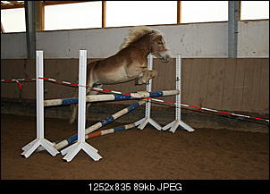 Pferde und Reiter-Thread-freisp.schlumpf-11-.jpg