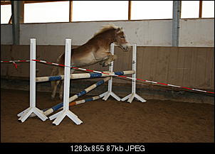 Aufreger des Tages!-freisp.schlumpf-9-.jpg