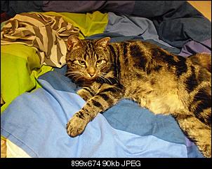 Aufreger des Tages!-lilly-forum.jpg