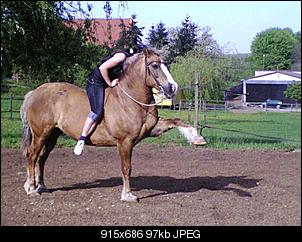 Hatt jemand noch andere Haustiere auser Ninchen?-nepomuk-mit-mir.jpg