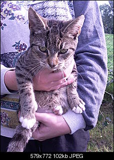 Name f�e Mieze-foto1461.jpg