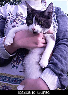 Name f�e Mieze-foto1462.jpg