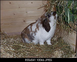 *Wer hat das S��este Nin?:)*-sl373464.jpg