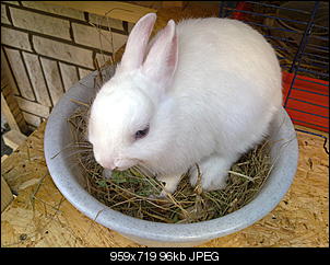 *Wer hat das S��este Nin?:)*-23052011256.jpg