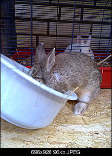 *Wer hat das S��este Nin?:)*-23052011270.jpg