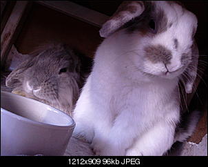 Euer Tagesfoto-foto1592.jpg