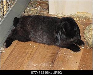 *Wer hat das S��este Nin?:)*-dsc01998-mittel-.jpg
