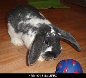 *Wer hat das S��este Nin?:)*-hasi4.jpg