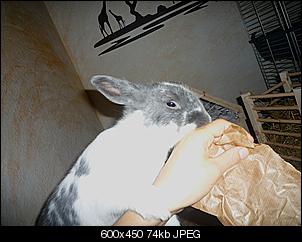 *Wer hat das S��este Nin?:)*-fel008.jpg