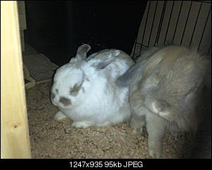 Euer Tagesfoto-foto1663.jpg