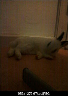 Euer Tagesfoto-foto-0876.jpg