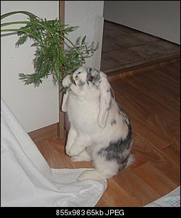 Euer Tagesfoto-dsc01715.jpg