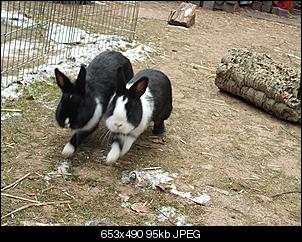Dvhadw-dscf4230.jpg