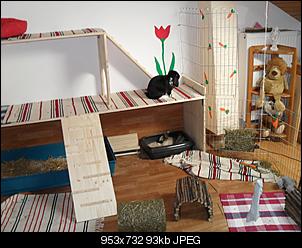 Wer hat das sch�nste Gehege?-sdc10830.jpg