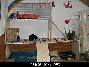 Wer hat das sch�nste Gehege?-sdc10891.jpg