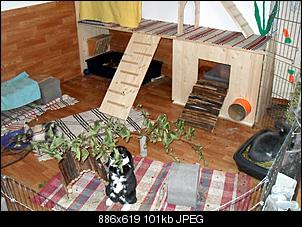 Wer hat das sch�nste Gehege?-sdc11303.jpg