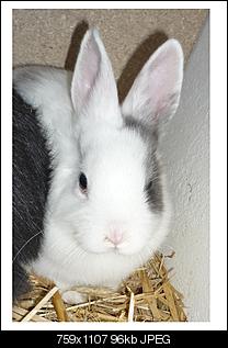 The Winner is... Anmeldung und Fragen-meine-bilder-188.jpg